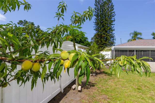 119 N Hillcrest Ave, Clearwater, FL 33755 - view of yard featuring a sunroom