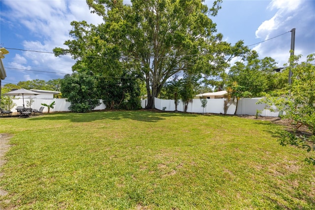 119 N Hillcrest Ave, Clearwater, FL 33755 - view of yard