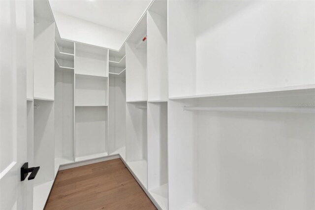 3817 W San Nicholas St, Tampa, FL 33629 - spacious closet with wood finished floors