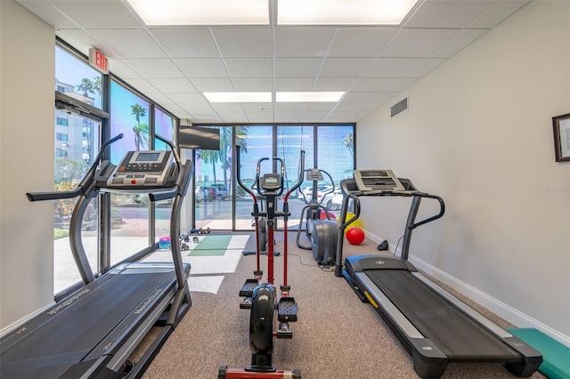 80 Rogers St Unit 6D, Clearwater, FL 33756 - workout area featuring a drop ceiling, plenty of natural light, baseboards, and carpet