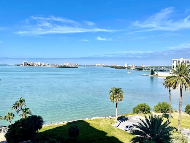80 Rogers St Unit 6D, Clearwater, FL 33756 - water view featuring nearby urban area