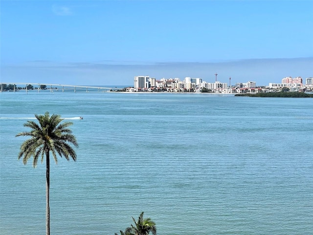 80 Rogers St Unit 6D, Clearwater, FL 33756 - water view featuring nearby urban area