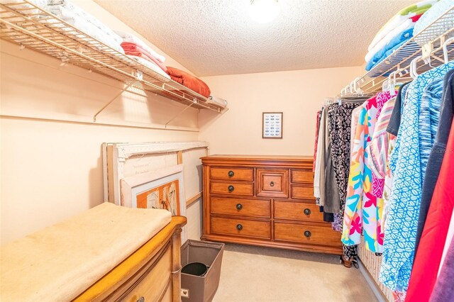 80 Rogers St Unit 6D, Clearwater, FL 33756 - walk in closet with light carpet