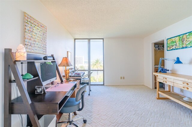 80 Rogers St Unit 6D, Clearwater, FL 33756 - carpeted home office featuring a textured ceiling, floor to ceiling windows, and baseboards