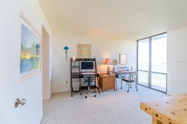 80 Rogers St Unit 6D, Clearwater, FL 33756 - carpeted home office with a textured ceiling, expansive windows, and baseboards