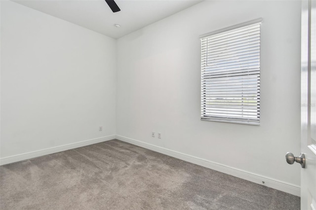 12710 Wheatgrass Ct, Parrish, FL 34219 - carpeted spare room with ceiling fan and baseboards