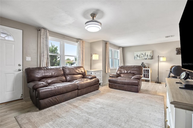 living room featuring light wood-style flooring