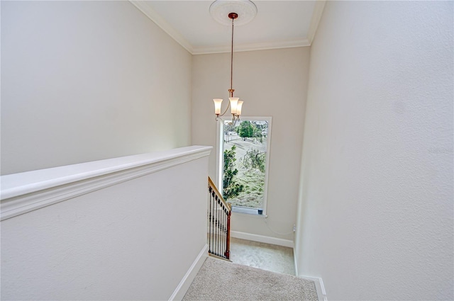 3323 Anna George Dr, Valrico, FL 33596 - photo 27