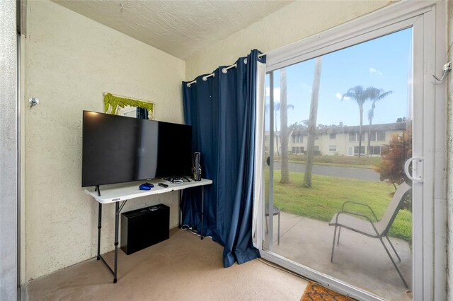1100 E Bay Dr Unit 60, Largo, FL 33770 - doorway to outside featuring a textured wall, carpet floors, and a textured ceiling