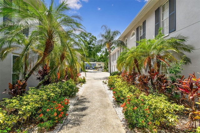 3205 W De Leon St Unit F, Tampa, FL 33609 - view of yard
