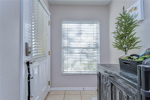 3456 Castle Stone Ct, Valrico, FL 33594 - photo 3