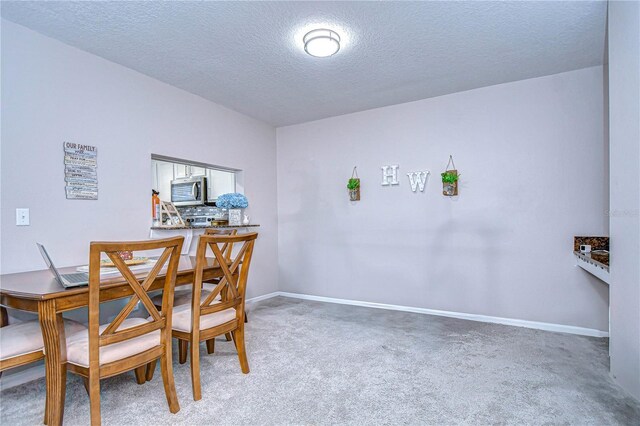 3456 Castle Stone Ct, Valrico, FL 33594 - photo 7