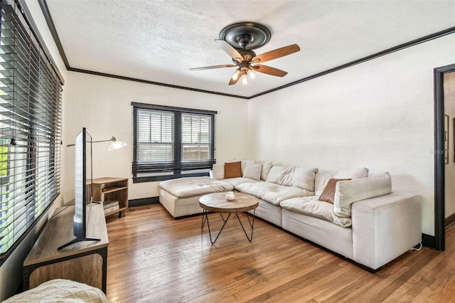 233 24th St N, Saint Petersburg, FL 33713 - living area with a ceiling fan, a textured ceiling, hardwood / wood-style floors, crown molding, and baseboards