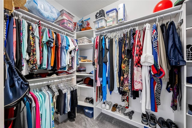 walk in closet featuring carpet flooring