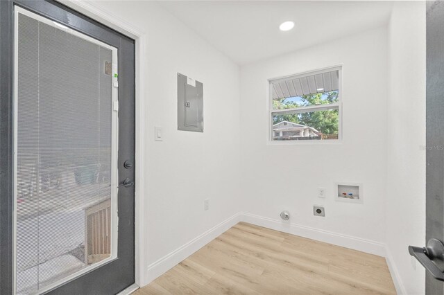 7 Hamilton Heath Dr, Tampa, FL 33604 - laundry area with electric dryer hookup, electric panel, light wood-style flooring, hookup for a washing machine, and baseboards