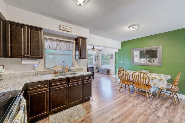 kitchen featuring a sink, stainless steel electric stove, light wood-style floors, dark brown cabinetry, and healthy amount of natural light