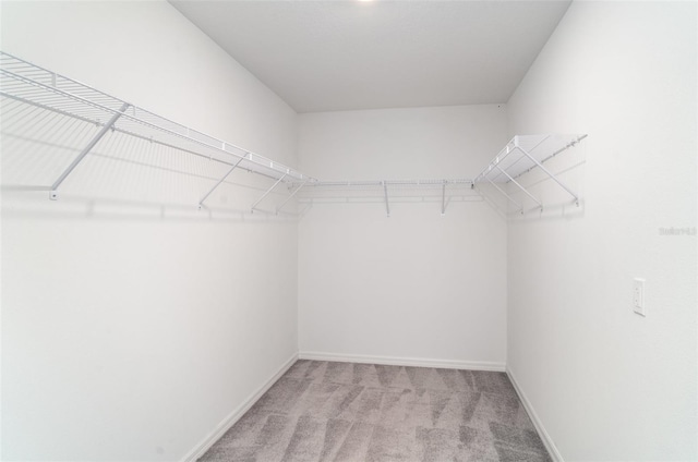 spacious closet with light carpet