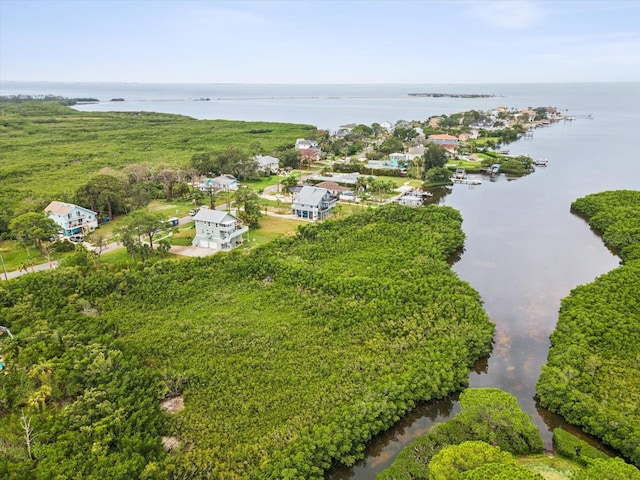 1532 Citrine Trl, Tarpon Springs, FL 34689 - photo 81