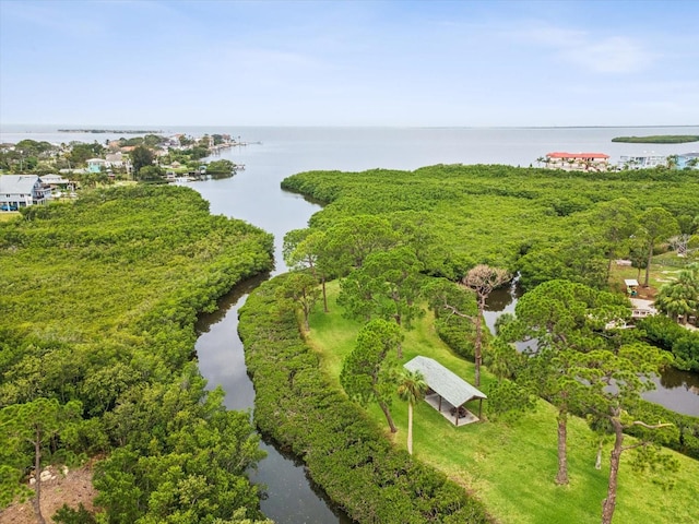 1532 Citrine Trl, Tarpon Springs, FL 34689 - photo 83