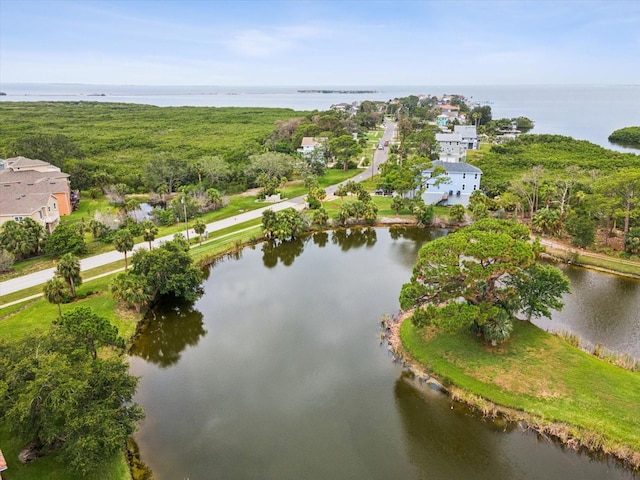 1532 Citrine Trl, Tarpon Springs, FL 34689 - photo 80