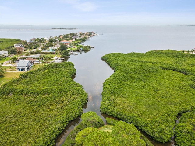 1532 Citrine Trl, Tarpon Springs, FL 34689 - photo 84