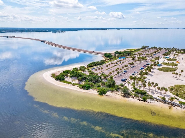 1532 Citrine Trl, Tarpon Springs, FL 34689 - photo 87