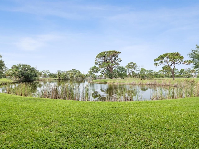 1532 Citrine Trl, Tarpon Springs, FL 34689 - photo 48