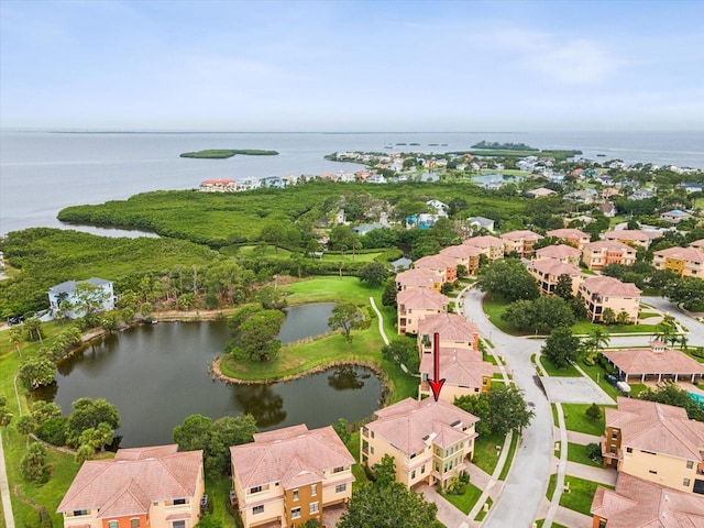 1532 Citrine Trl, Tarpon Springs, FL 34689 - photo 58
