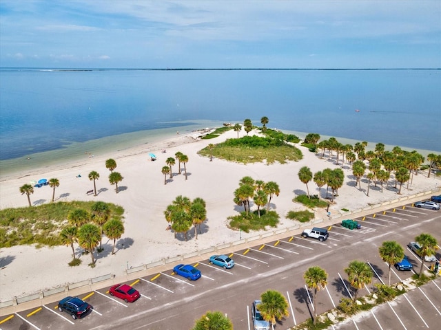 1532 Citrine Trl, Tarpon Springs, FL 34689 - photo 86