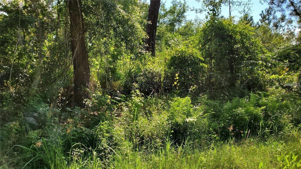103 Bowfin Dr, Satsuma, FL 32189 - photo 1