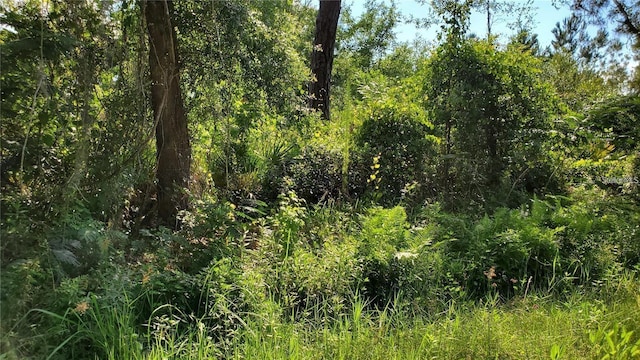 103 Bowfin Dr, Satsuma, FL 32189