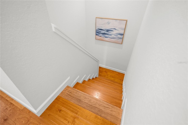 108 Biscayne Ave Unit B, Tampa, FL 33606 - stairway with wood finished floors and baseboards