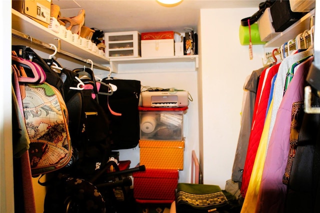 view of walk in closet