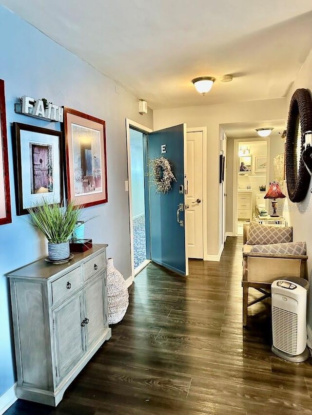 7200 Sunshine Skyway Ln S Unit 2E, Saint Petersburg, FL 33711 - entryway with dark wood-style floors and baseboards