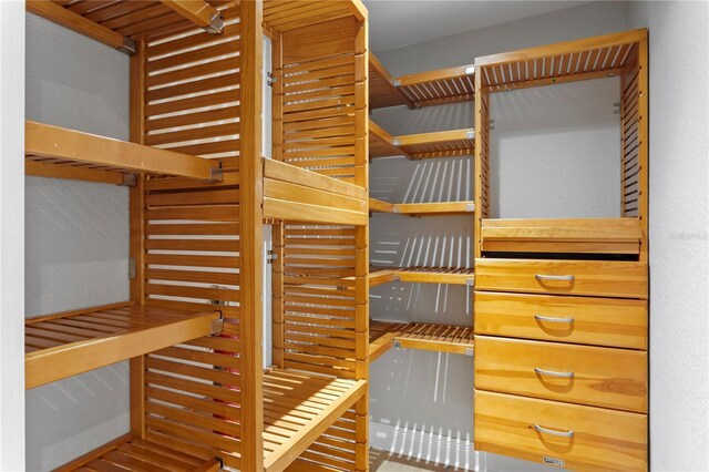 493 Lucerne Ave, Tampa, FL 33606 - view of walk in closet