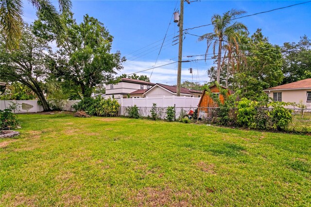 493 Lucerne Ave, Tampa, FL 33606 - view of yard