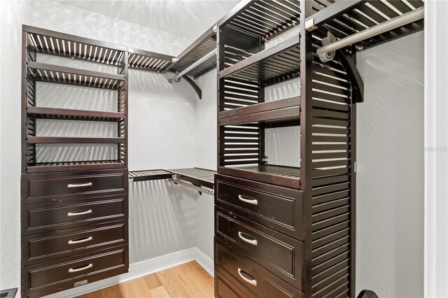 493 Lucerne Ave, Tampa, FL 33606 - walk in closet featuring light wood-style flooring