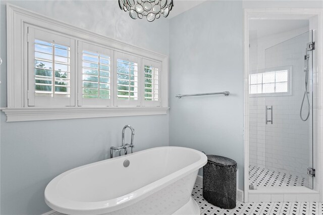 493 Lucerne Ave, Tampa, FL 33606 - bathroom featuring a stall shower, healthy amount of natural light, and a freestanding bath