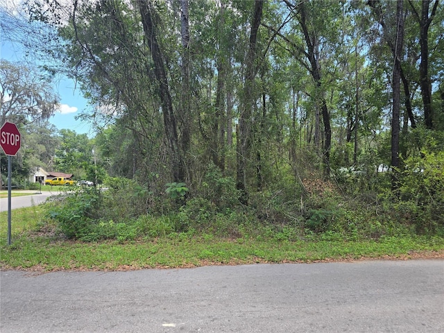 3546 E Diana Ln, Inverness, FL 34453