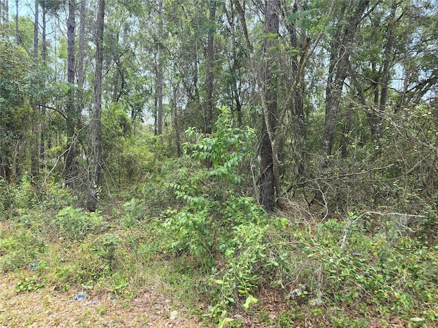 3546 E Diana Ln, Inverness, FL 34453