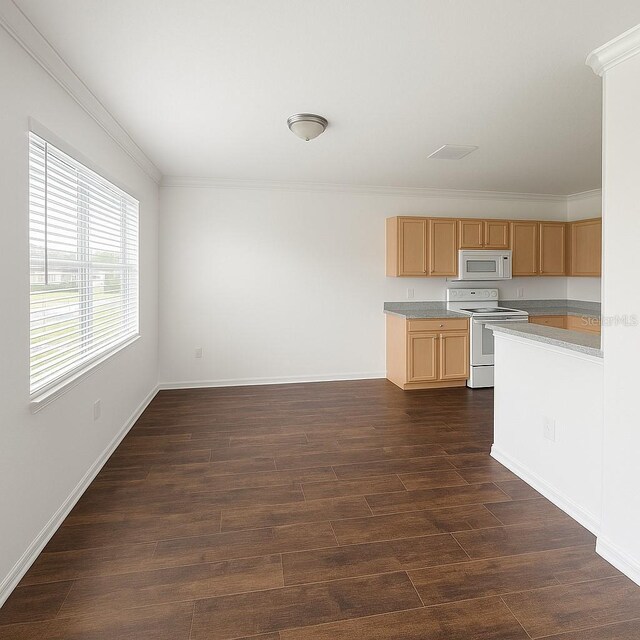 6354 Sedgeford Dr, Lakeland, FL 33811 - photo 6