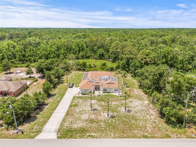 7206 River Country Dr, Weeki Wachee, FL 34607 - view of subject property with a heavily wooded area