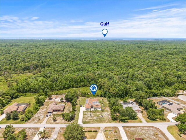 7206 River Country Dr, Weeki Wachee, FL 34607 - drone / aerial view of a forest