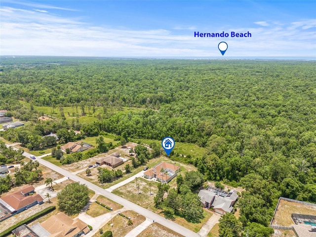 7206 River Country Dr, Weeki Wachee, FL 34607 - aerial view of a forest