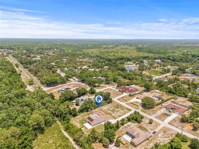 7206 River Country Dr, Weeki Wachee, FL 34607 - bird's eye view of a forest