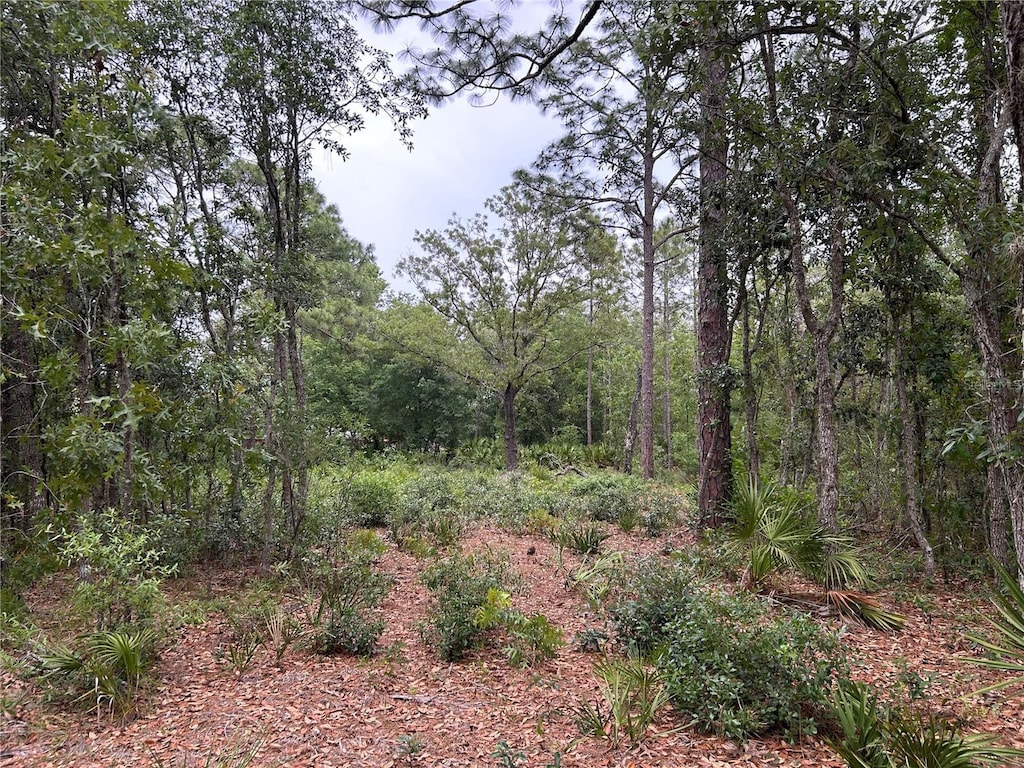 S Slash Pine Ave, Homosassa, FL 34446