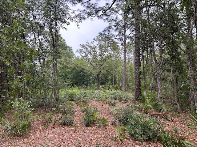 S Slash Pine Ave, Homosassa, FL 34446