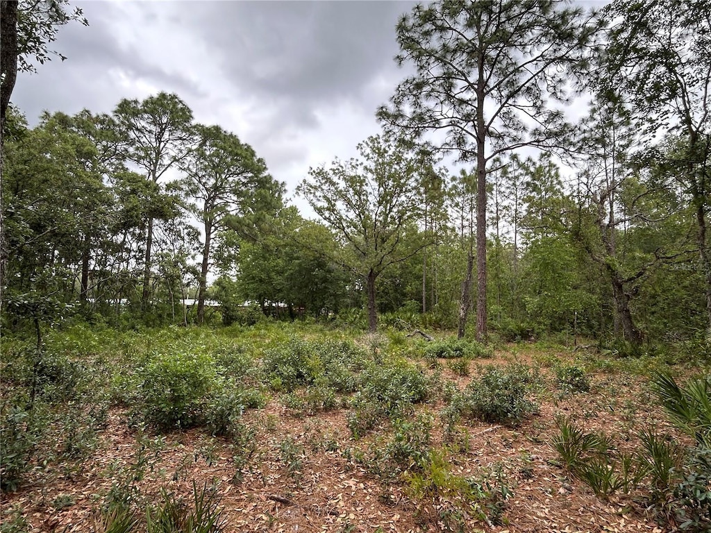 S Slash Pine Ave, Homosassa, FL 34446