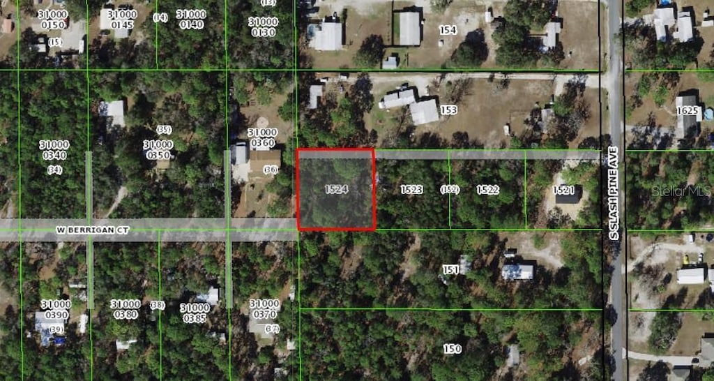 S Slash Pine Ave, Homosassa, FL 34446