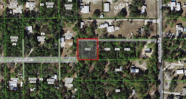 S Slash Pine Ave, Homosassa, FL 34446